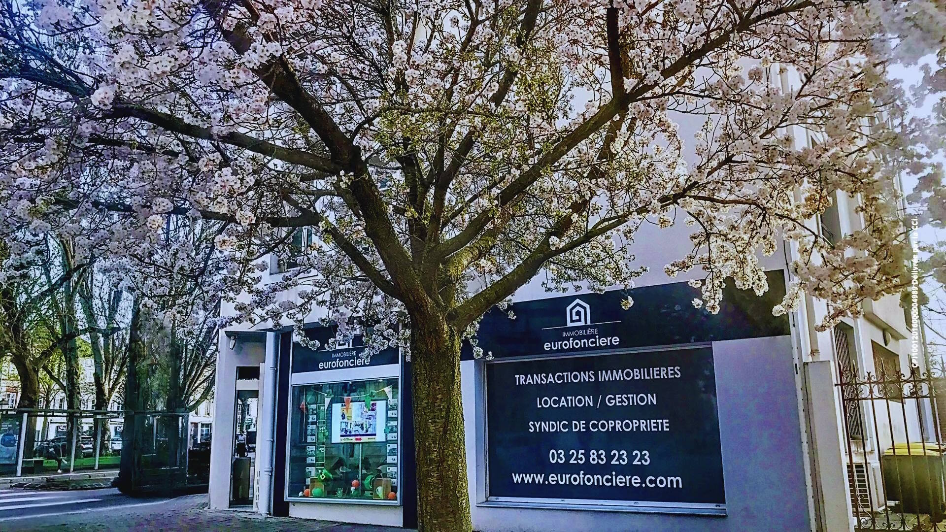 agence immobilière eurofoncière